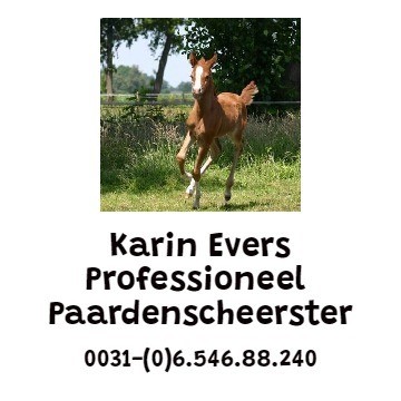 Karin Evers