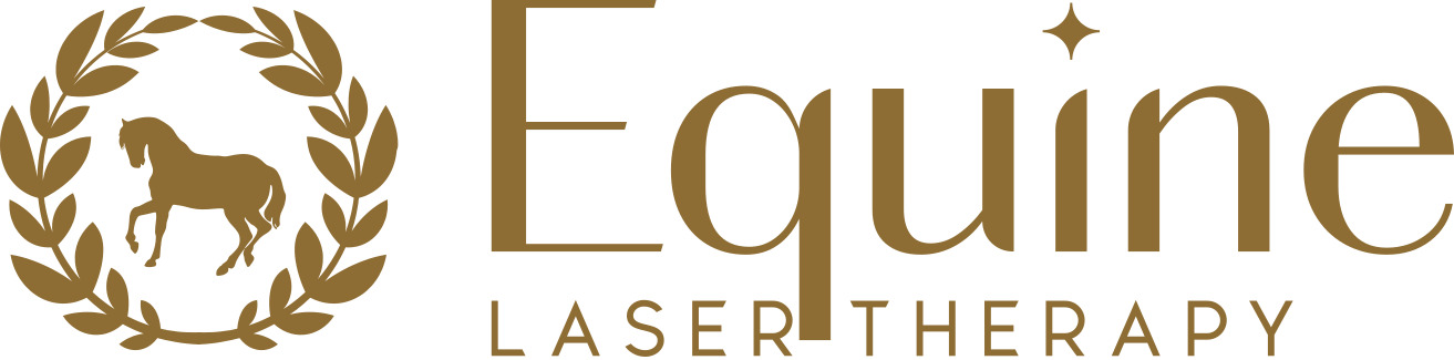 Equine-laser-therapy